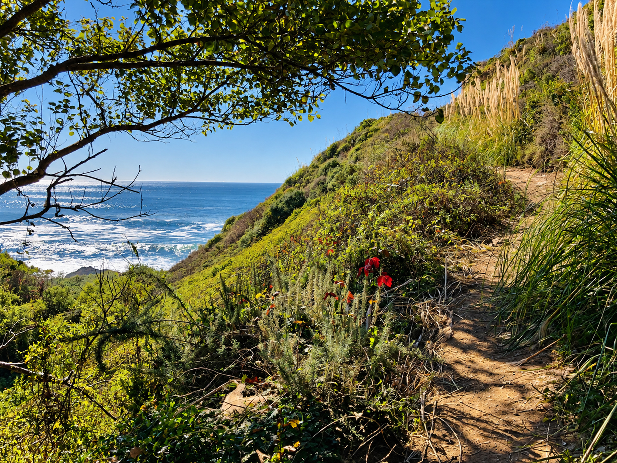 Hiking in Big Sur