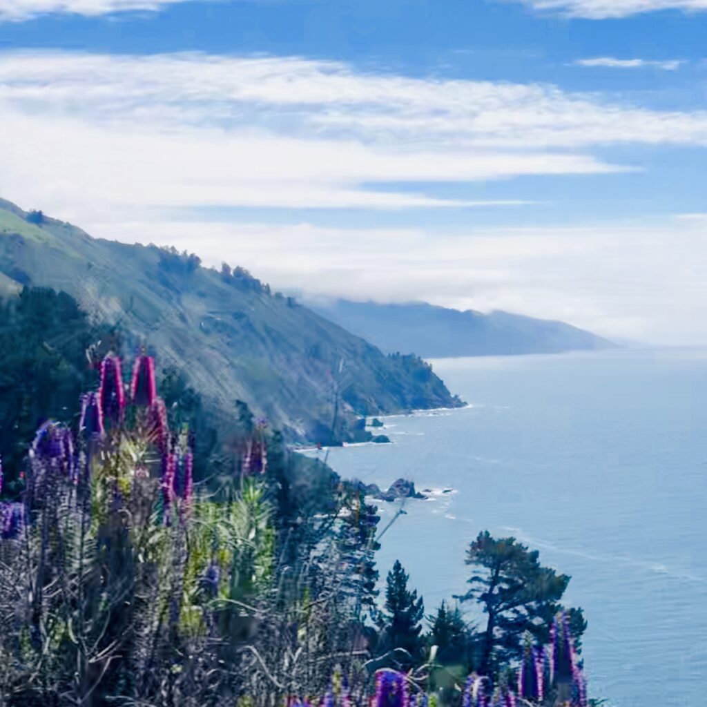 Big Sur Coast