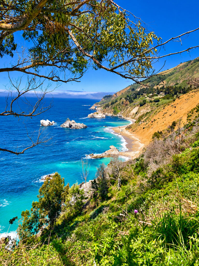 Big Sur Pacific Ocean View