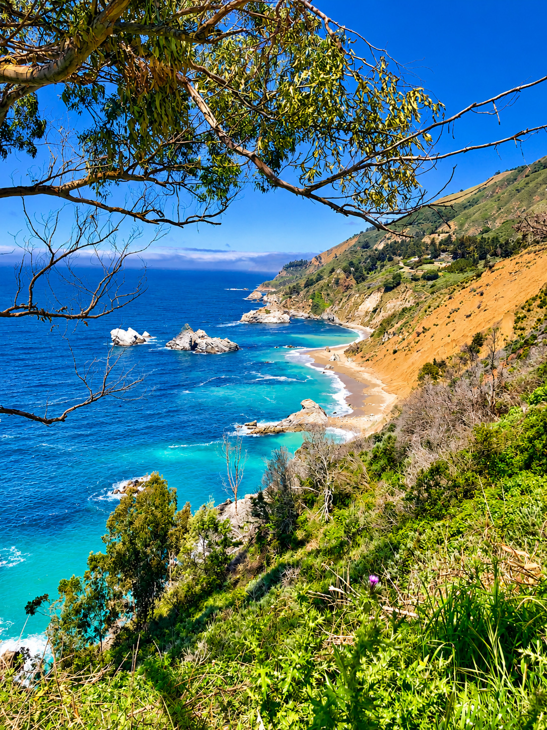 Big Sur Pacific Ocean View